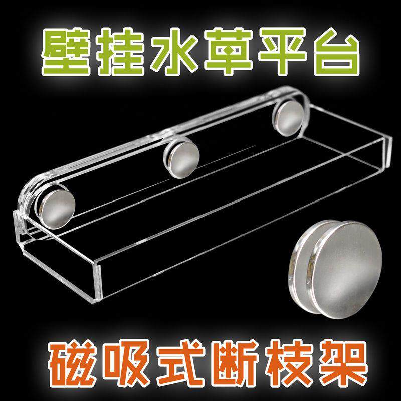 珊瑚基座支架海水鱼海水珊