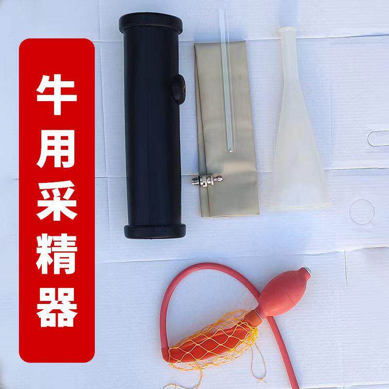 牛假阴道牛用采精器采精人