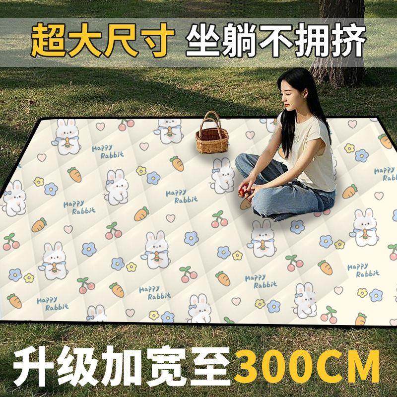 户外露营地垫加厚防潮垫帐