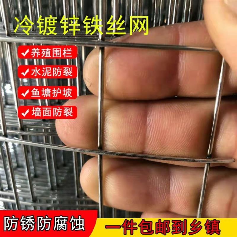 镀锌铁丝网围栏电镀铁丝网铁网格网钢丝网加粗防锈铁网养殖网鸽舍