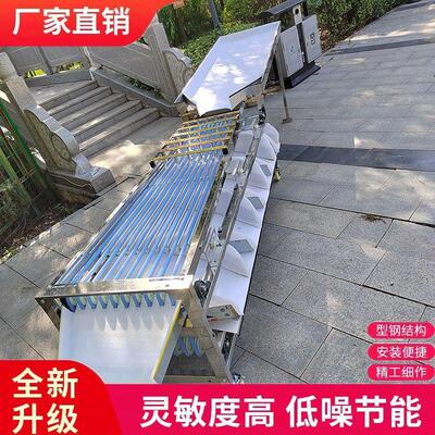 新款脐橙百香果圣女果李子