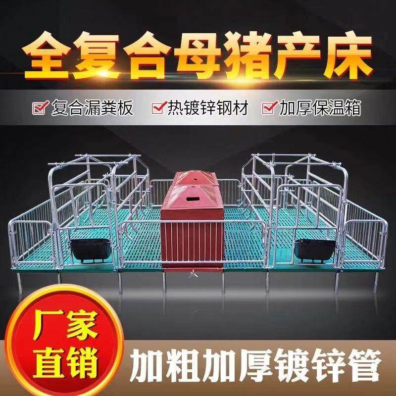 母猪产床双体产保一体分娩