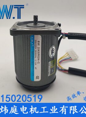 TWT电机 6W调速电机2IK6RGN-C 2RK6RGN-C  台湾东炜庭电机