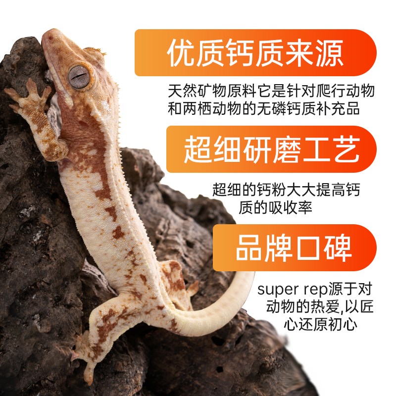 爬虫纳米钙粉维生素益生菌爬宠角蛙陆龟蜥蜴鬃狮睫角守宫补钙含D3