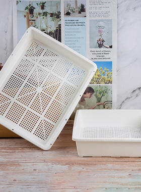 白色加厚多肉育苗盆带盖叶插播种器育苗盘小号托盘闷养花盆收纳框