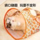 磨牙耐咬逗猫棒 宠物钻隧道响纸发声玩具 猫管家 猫咪玩具钻袋子