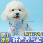 宠物狗狗牵引绳中小型犬猫咪胸背带狗绳子泰迪柯基外出遛狗牵引绳