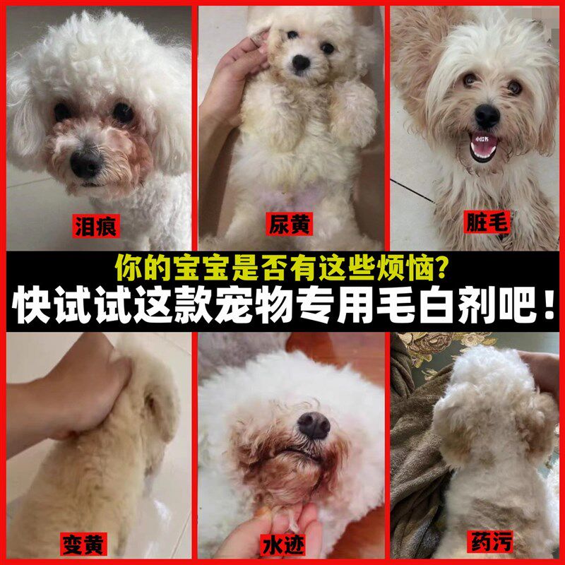 比熊泰迪博美萨摩宠物猫狗漂白粉毛白剂去泪痕尿迹染发剂白色美白