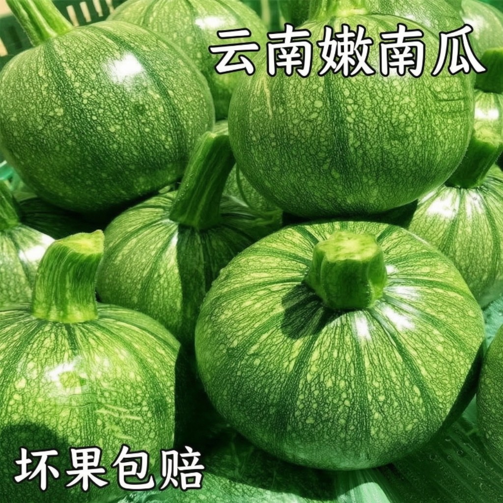 云南小圆瓜新鲜嫩南瓜现摘西葫芦瓜圆形绿皮嫩瓜甜瓜金瓜农家蔬菜