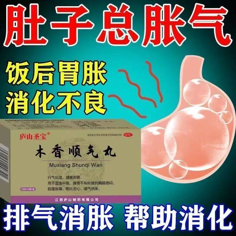 庐山圣宝 木香顺气丸 10袋/盒 行气化湿脾胃不和恶心呕吐脘腹胀痛