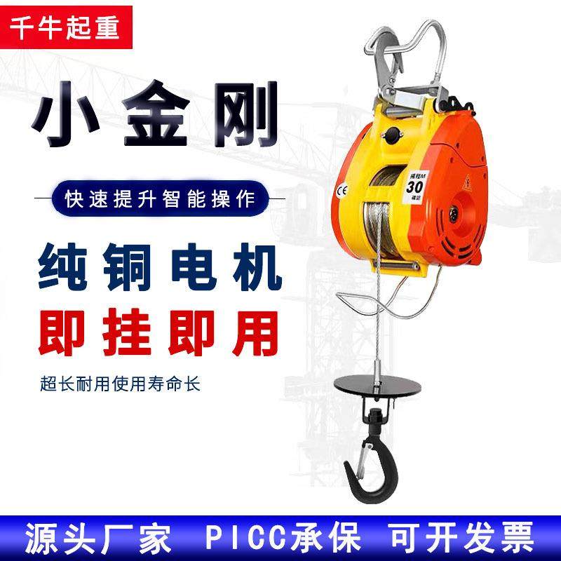 小金刚电动葫芦220V家用悬挂小型电葫芦提升机空调吊机卷扬机0.5T