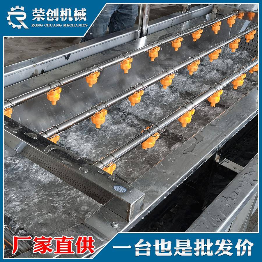 荔枝清洗机气泡冲浪黑莓洗果机不锈钢清洗加工设备厂家销售