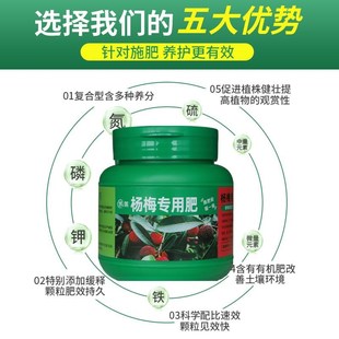 杨梅树专用肥料杨梅复合有机肥果树开花结果磷酸二氢钾氮磷钾化肥