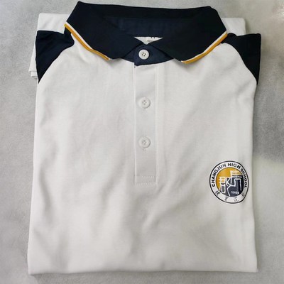 长郡中学校服夏季短袖翻领外国语滨江梅溪湖文化衫校服棉PoloT恤