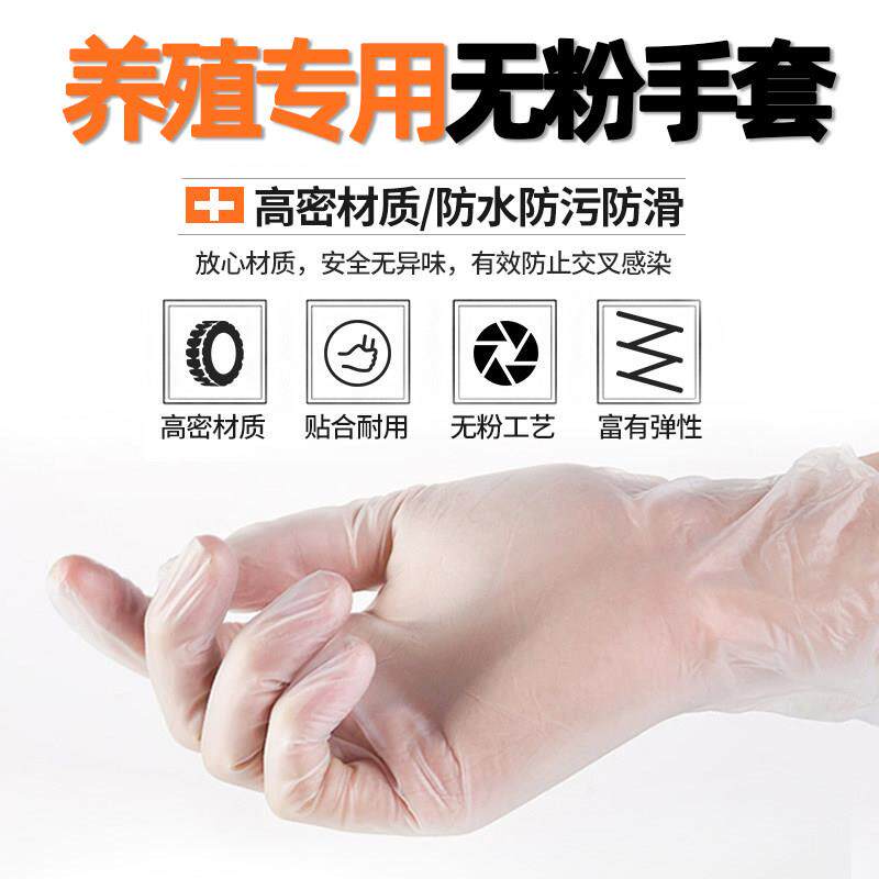 一次性采精手套猪人工授精无乳胶手套无粉助产乙烯基加厚塑胶手套