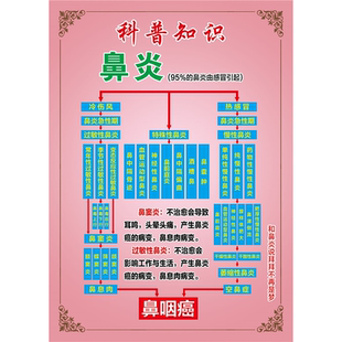 鼻炎科普知识海报竖向鼻炎的种类贴纸鼻炎广告图全套鼻腔科诊所图