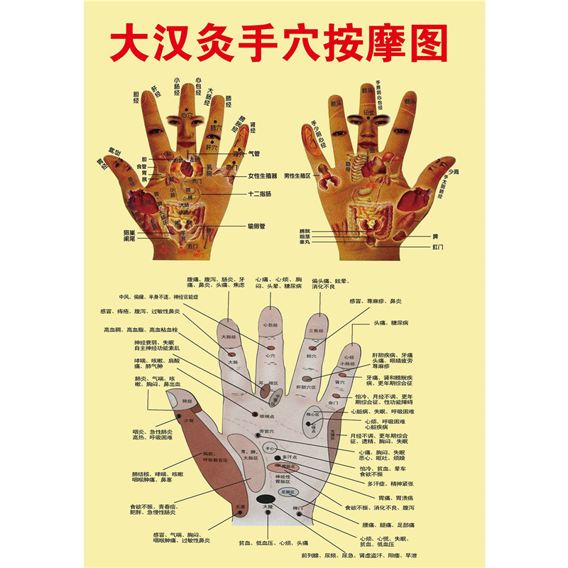 大汉灸手穴按摩图海报展板手穴对照图手掌手背手相图墙贴墙纸KT板