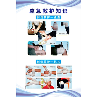 创伤包扎急救流程现场四项急救常识展板宣传墙贴海报印制