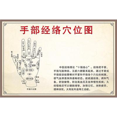手部经络穴位图海报展板手臂内侧手臂外侧下肢后部下肢前部墙贴
