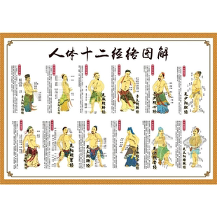 人体十二经络穴位图解任督二脉挂图中医养生保健穴位挂图海报写真