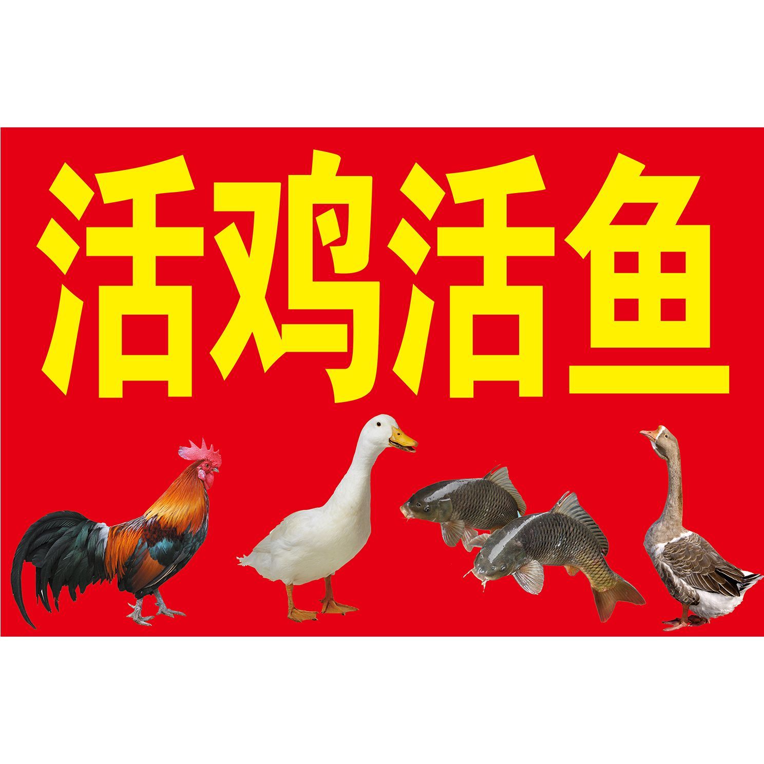 活鸡活鱼出售定制海报写真背胶广告招牌防水喷绘自粘壁纸贴纸