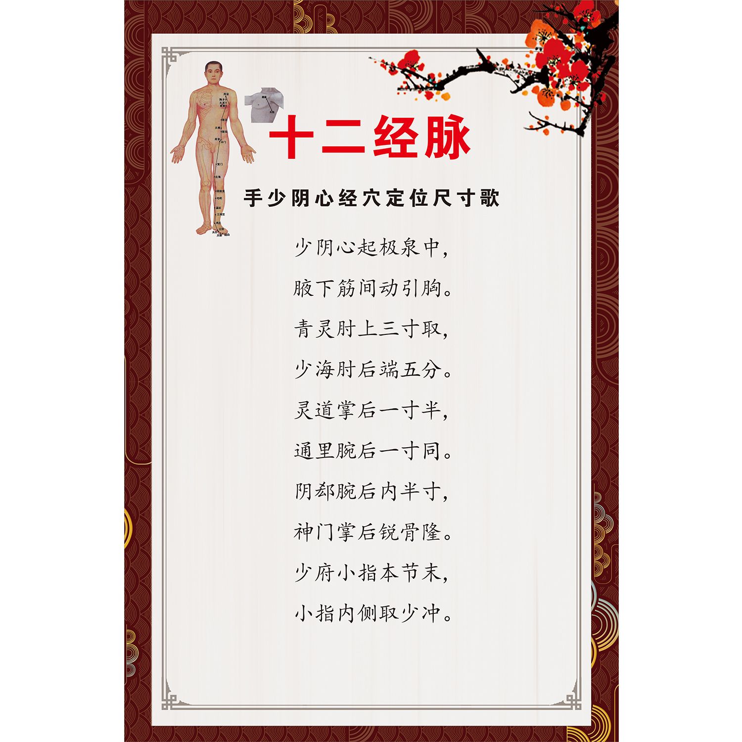 十二经脉手少阴心经穴定位尺寸歌海报十二经脉手少阴心经穴穴名歌