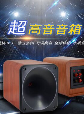 号角高音喇叭音箱可调频率木质发烧级带分频超高音扬声器音响