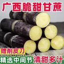 新鲜正宗广西黑皮紫甘蔗清甜可口水果应季 水果热带脆多汁非黄金青