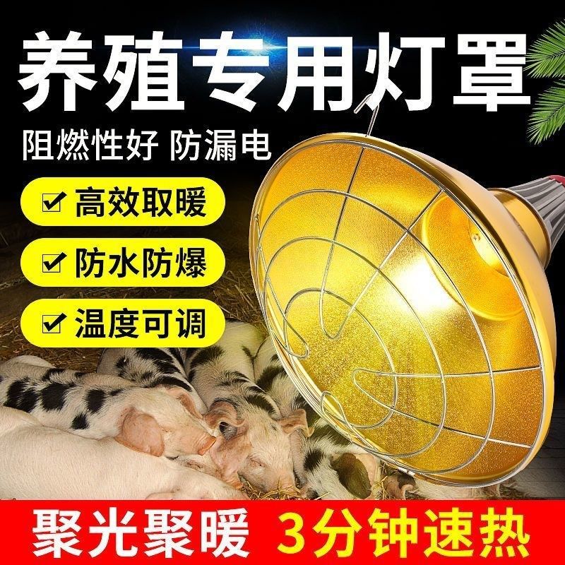 保温灯养殖场专用小鸡育雏保暖灯防水防爆仔猪取暖灯猪场控温灯罩,畜牧/养殖物资,养殖保温灯,淘宝优惠券,粉丝福利购,淘宝优惠卷