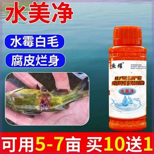 水美净水产养殖鱼池鱼塘用白毛病水霉病腐皮烂鳃烂尾出血鱼药