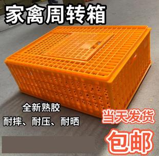 塑料鸡笼周转箱装鸡塑料筐周转笼鸡笼家禽鸡鸭运输笼养鸡笼装鸡框