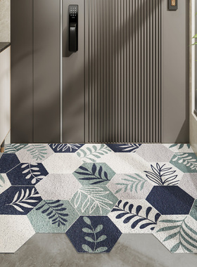 入户门垫家用进门脚垫门外丝圈pvCc门口地毯耐磨耐脏玄关新款垫子