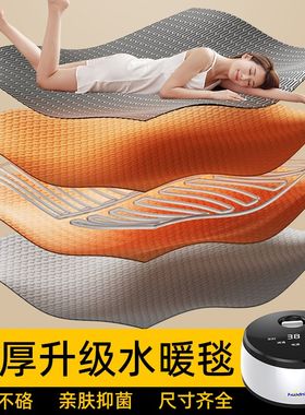 加厚水暖2人电热毯家用2024新款双人水循环1人农村大炕除湿大毯子