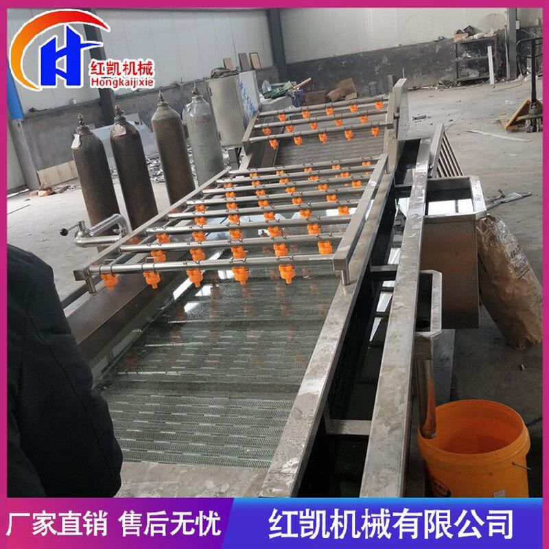 供应全自动不锈钢果蔬清洗机 淋喷式清洗机 果叶分离果蔬清洗机