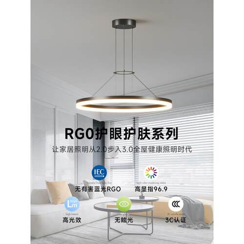 饭厅吊灯北欧现代简约客厅灯全光谱LED护眼无频闪网红极简圆环灯