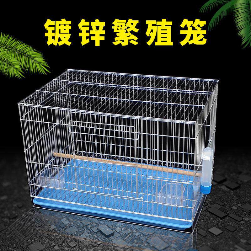 鹦鹉鸟笼中大型飞行镀锌八哥虎皮牡丹加粗养殖繁殖大号鸟笼子包邮