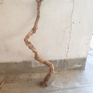 枯木树枝爬宠造景木霸王藤木热带鬃狮蜥蜴守宫睫角蛇攀爬造型树桩