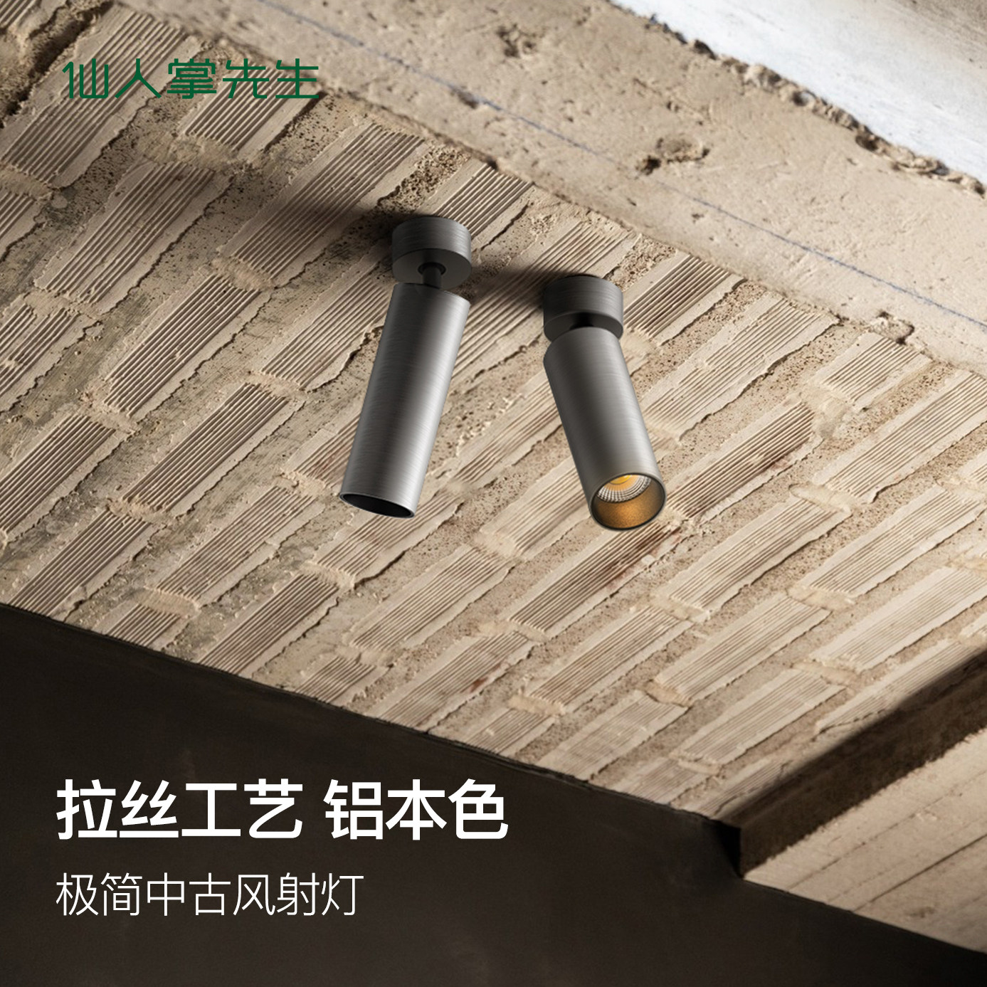 仙人掌先生明装极简中古风拉丝工艺铝本色护眼嵌装LD,家装灯饰光源,明装射灯,淘宝优惠券,粉丝福利购,淘宝优惠卷