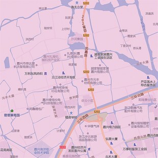 新款嘉兴市地图图办公室挂图高防水墙壁超大装饰画定制