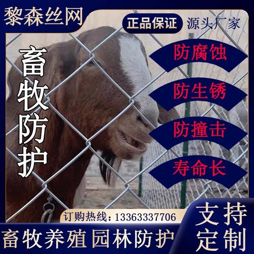 包塑镀锌铁丝网围栏网养殖防护网勾网护栏钢丝网牲畜隔离网