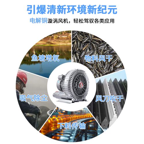 压漩涡风罗茨涡轮强力吸增氧旋涡式气泵工业鼓风大功率