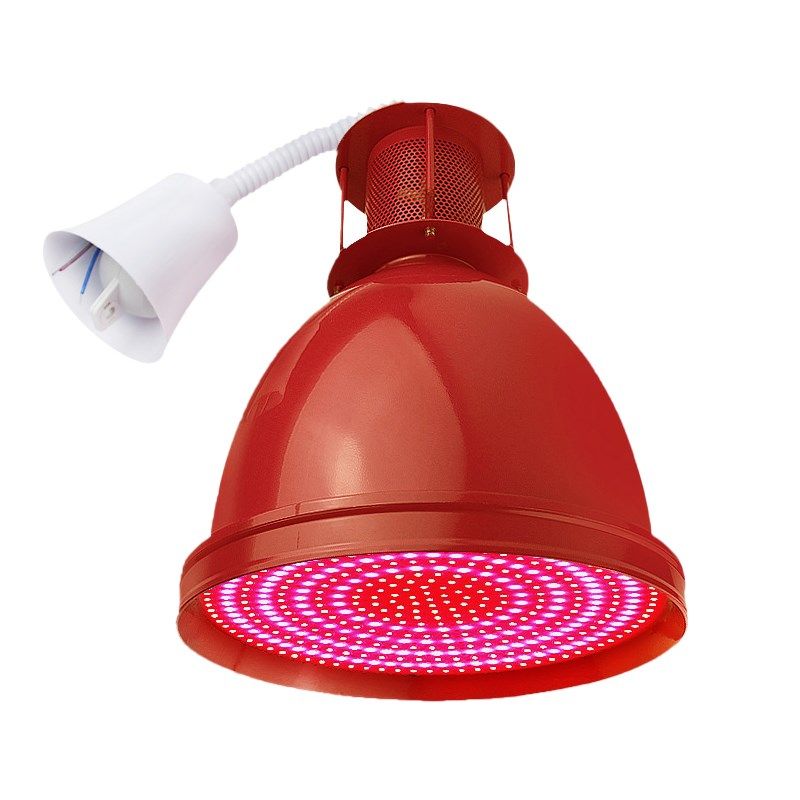 超市生鲜LD吊灯鲜肉熟食蔬菜灯水果灯海鲜补光灯新鲜猪肉吊线灯,家装灯饰光源,生鲜灯,淘宝优惠券,粉丝福利购,淘宝优惠卷