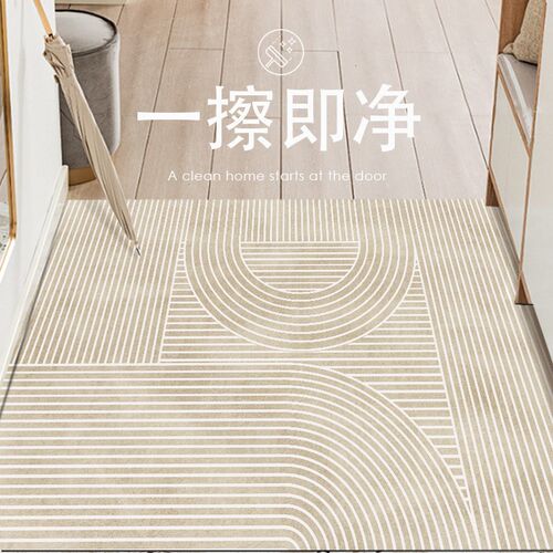 天津崔黄口地毯入户进门内地垫pvc可擦洗法式轻奢高级奶油系绒面
