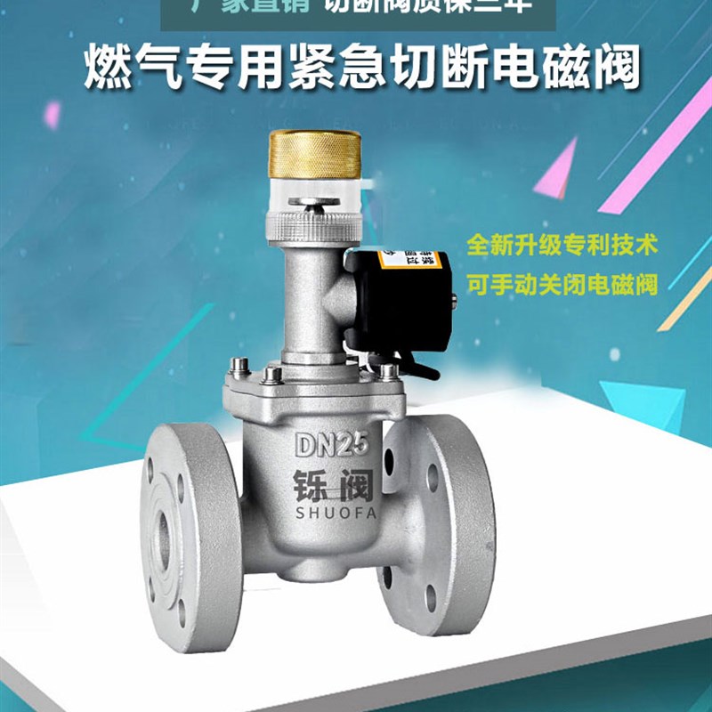 工业商用燃气阀电磁紧急切断阀天然气电磁C阀法兰DN50 40 80 100