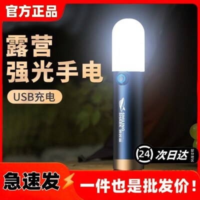 蜡烛手电筒露营灯18m650电池款户外照明灯防水led灯可拆卸充电线