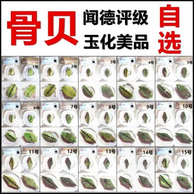 先秦骨贝币 晋系骨贝 闻德评级82分 翠绿玉化美品 一币一图 自选