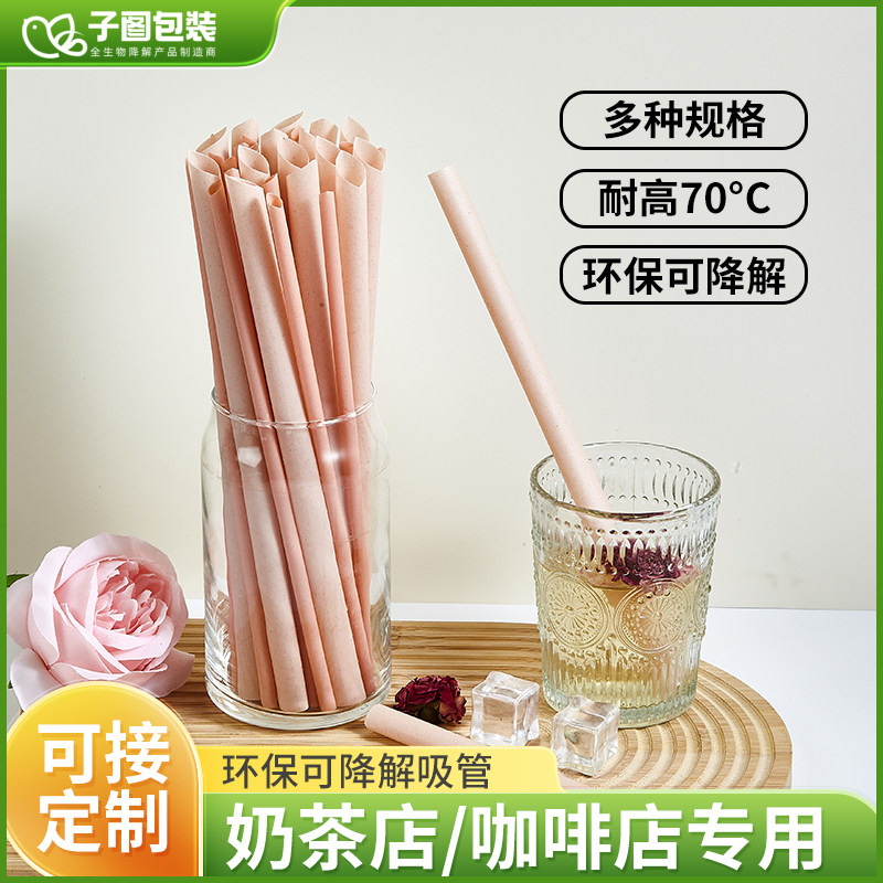新款火龙果一次性吸管全降解填充奶茶店咖啡店商用ins风厂家直发