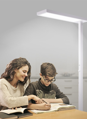 雷纳onu落地护眼灯全光谱儿童学习灯阅读灯书桌台灯大路灯