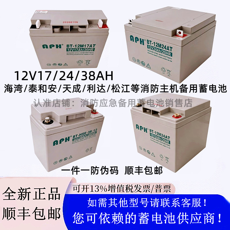 蓄电池BT-12M24AT海湾泰和安消防主机备用12V24AH17AH38AH应急UPS图片