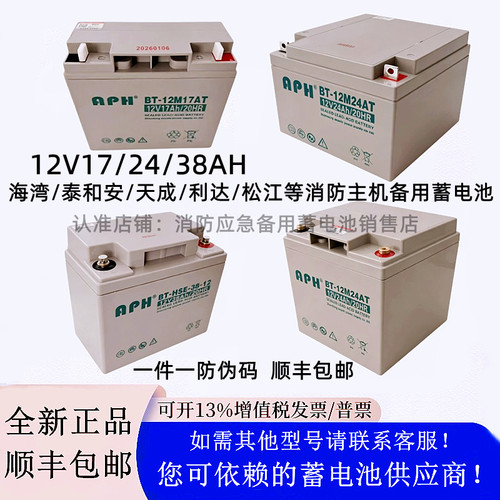蓄电池BT-12M24AT海湾泰和安消防主机备用12V24AH17AH38AH应急UPS